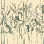 Art. 35 0324 00