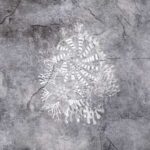 Art. 34 0415 01