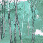 Art. 35 0630 08