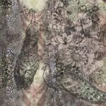 Art. 35 0740 05