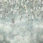 Art. 35 0742 08