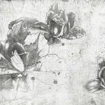 Art. 35 0774 00