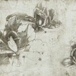 Art. 35 0774 06