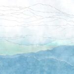 Art. 35 0837 13