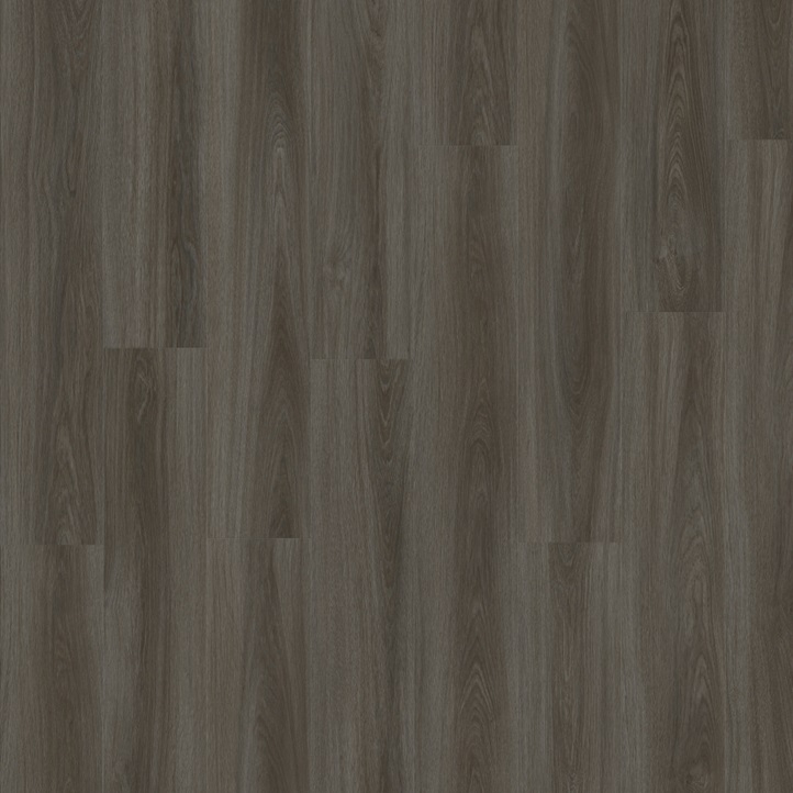 IVCPalmerOak22949_image