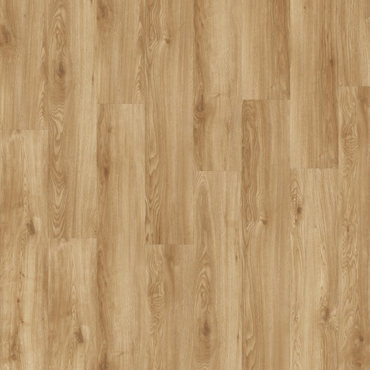 IVCWillowOak24251_image
