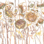 Art. 35 0572 04