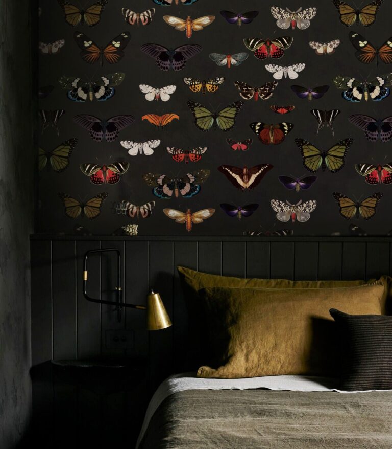 tapeta-colorful-butterfly-green