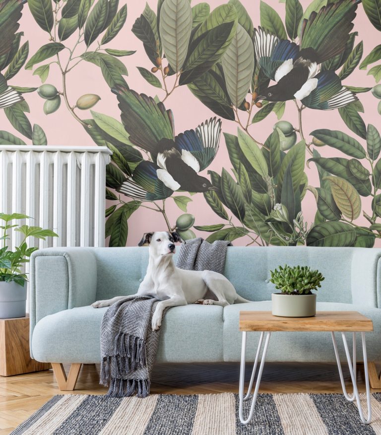 tapeta-magpie-pink