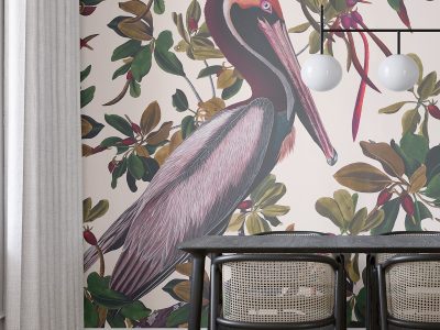 Tapeta Vintage Pelicans